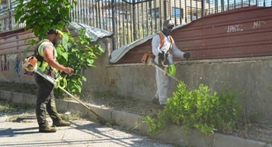 Bornova’da yaz öncesi yangın ve çevre seferberliği