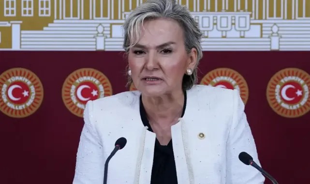 CHP Milletvekili Özdemir, partisinden istifa etti