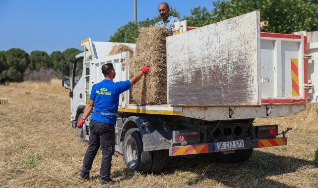 Buca’da üreticiye saman desteği