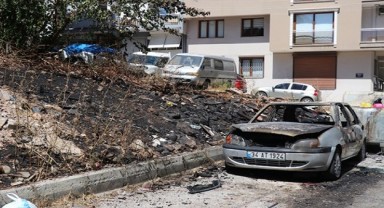 İzmir'de otluk alanda yangın: Araçlar kül oldu!