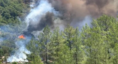 Muğla Fethiye'de Orman Yangını